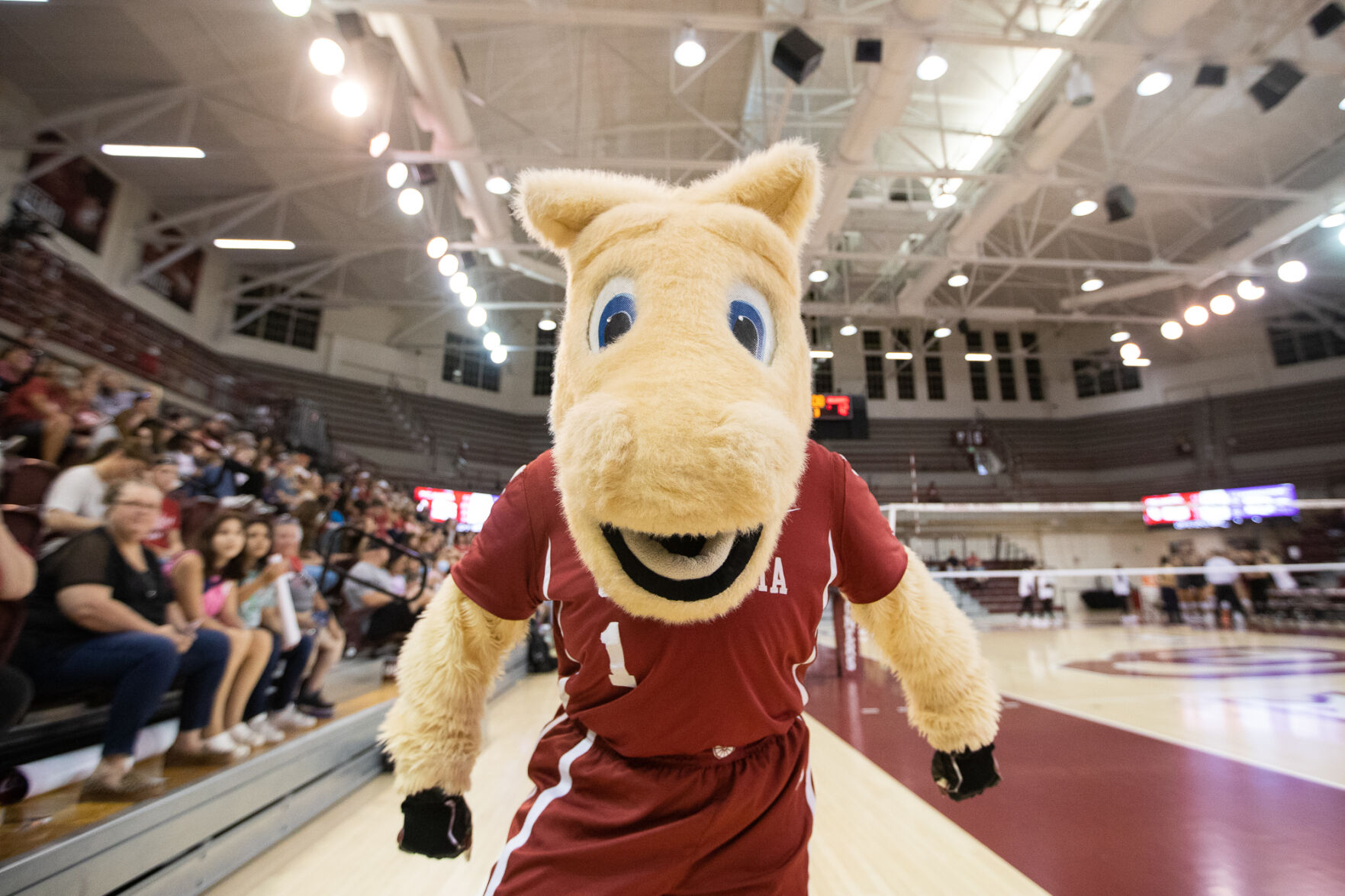Boomer